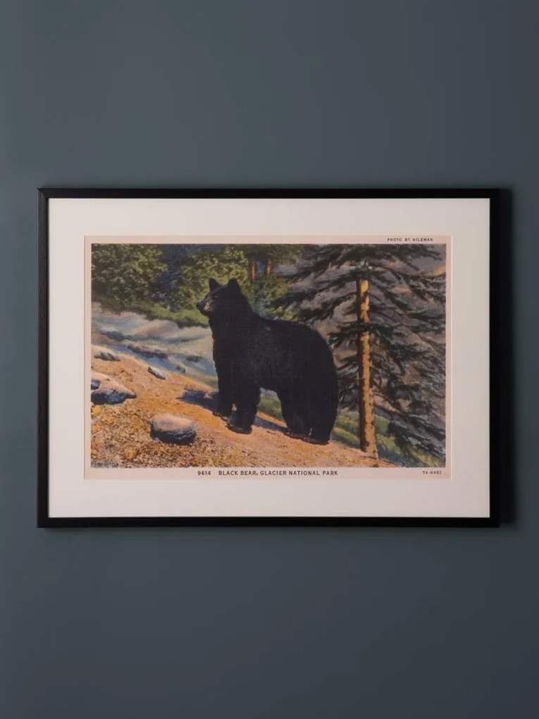 Tablou decorativ, cu rama din rasina, Bear Postcard