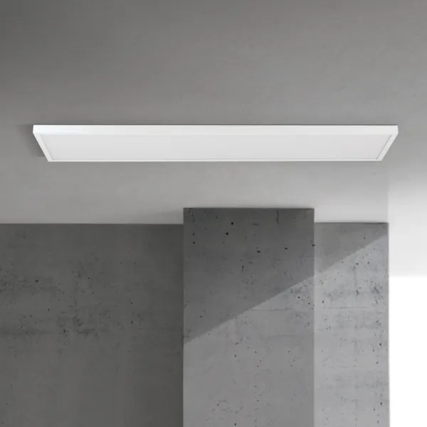 Orion - Panou LED aplicat DISC, dimabil, 40 W, 230 V, 2700/3000/4000 K, 115 x 30 cm, alb