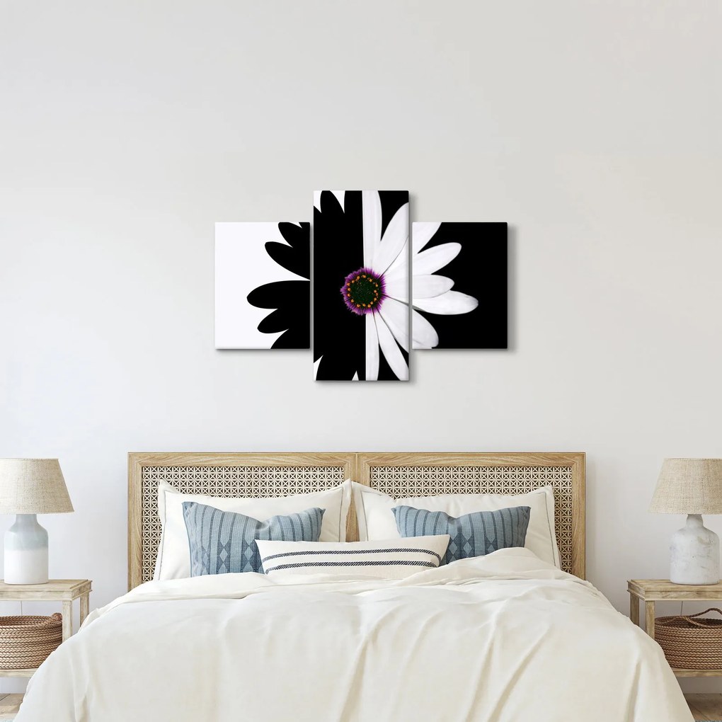 Tablou - Floare, alb- negru (90x60 cm)