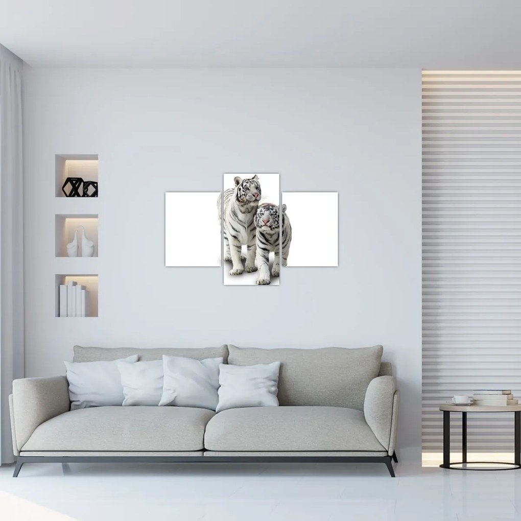 Tablou - Tigrul alb (90x60 cm)