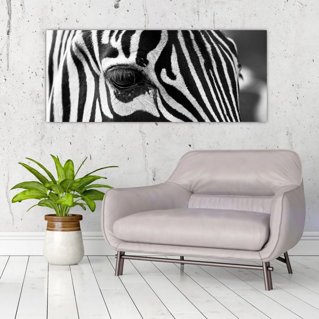 Tablou cu zebră (120x50 cm), în 40 de alte dimensiuni noi