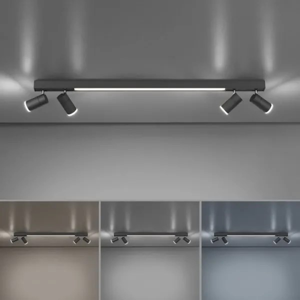 Paul Neuhaus 6121-13 - Spot LED reglabil 4xLED/4W/230V + LED/9W+DO