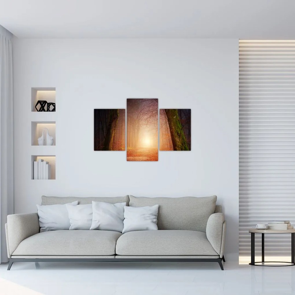Tablou cu pădurea toamna în ceață (90x60 cm)