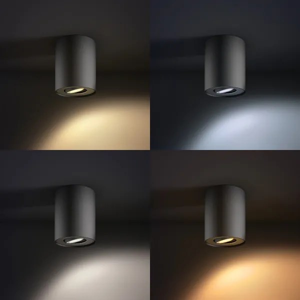 Spot LED dimabil PILLAR Hue 1xGU10/5,5W Philips 56330/30/P8