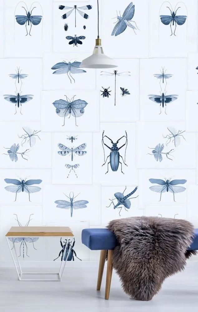 MINDTHEGAP Tapet - Entomology Blue