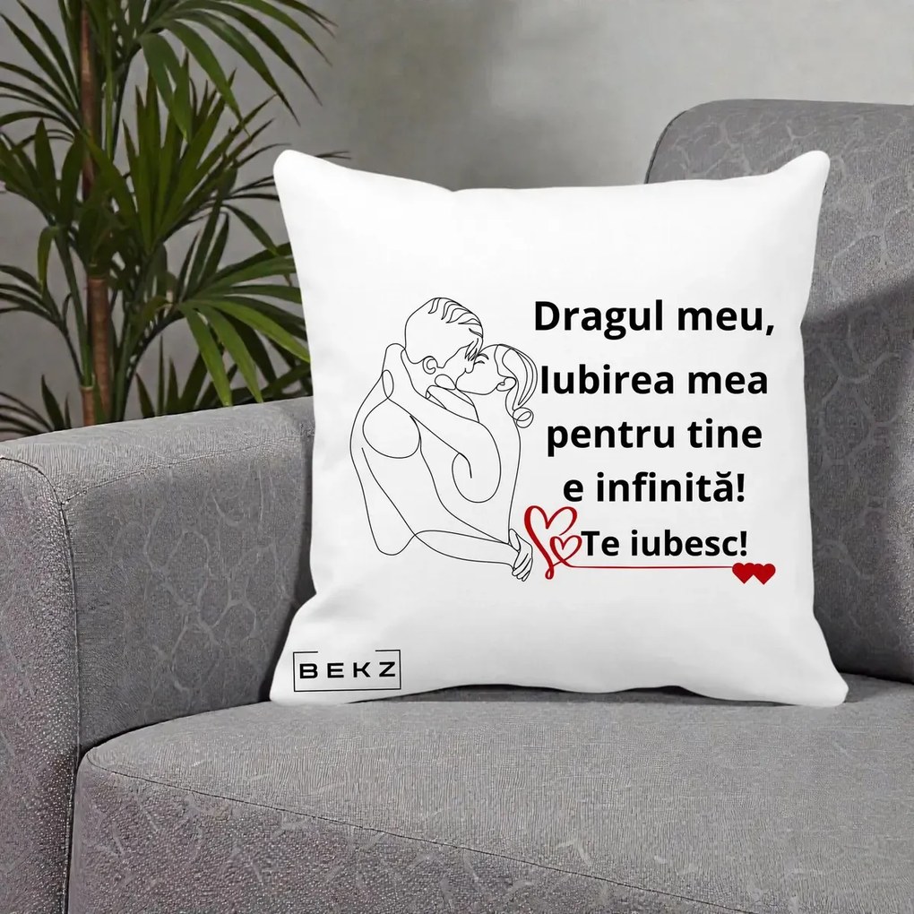 Cadou pentru Iubit - Perna Personalizata Dragul Meu Iubirea Mea pentru Tine e Infinita Te Iubesc, 40x40 cm, Alba Mata, Husa Detasabila, Perna Inclusa, BEKZ®