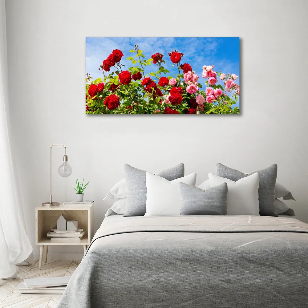 Tablou canvas Trandafiri sălbatici