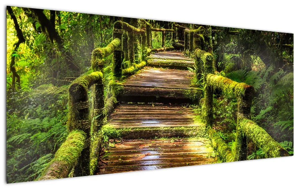 Tablou cu scări într-o pădure tropicală (120x50 cm), în 40 de alte dimensiuni noi