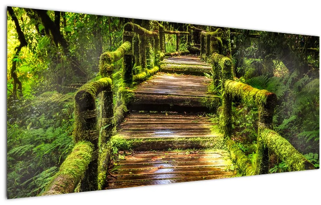 Tablou cu scări într-o pădure tropicală (120x50 cm)