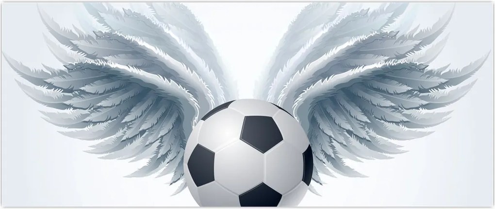 Tablou - Balon cu aripi (120x50 cm)