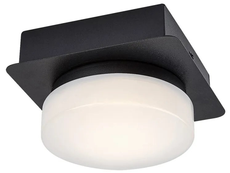 Plafoniera LED pentru baie design modern IP44 Attichus negru, alb