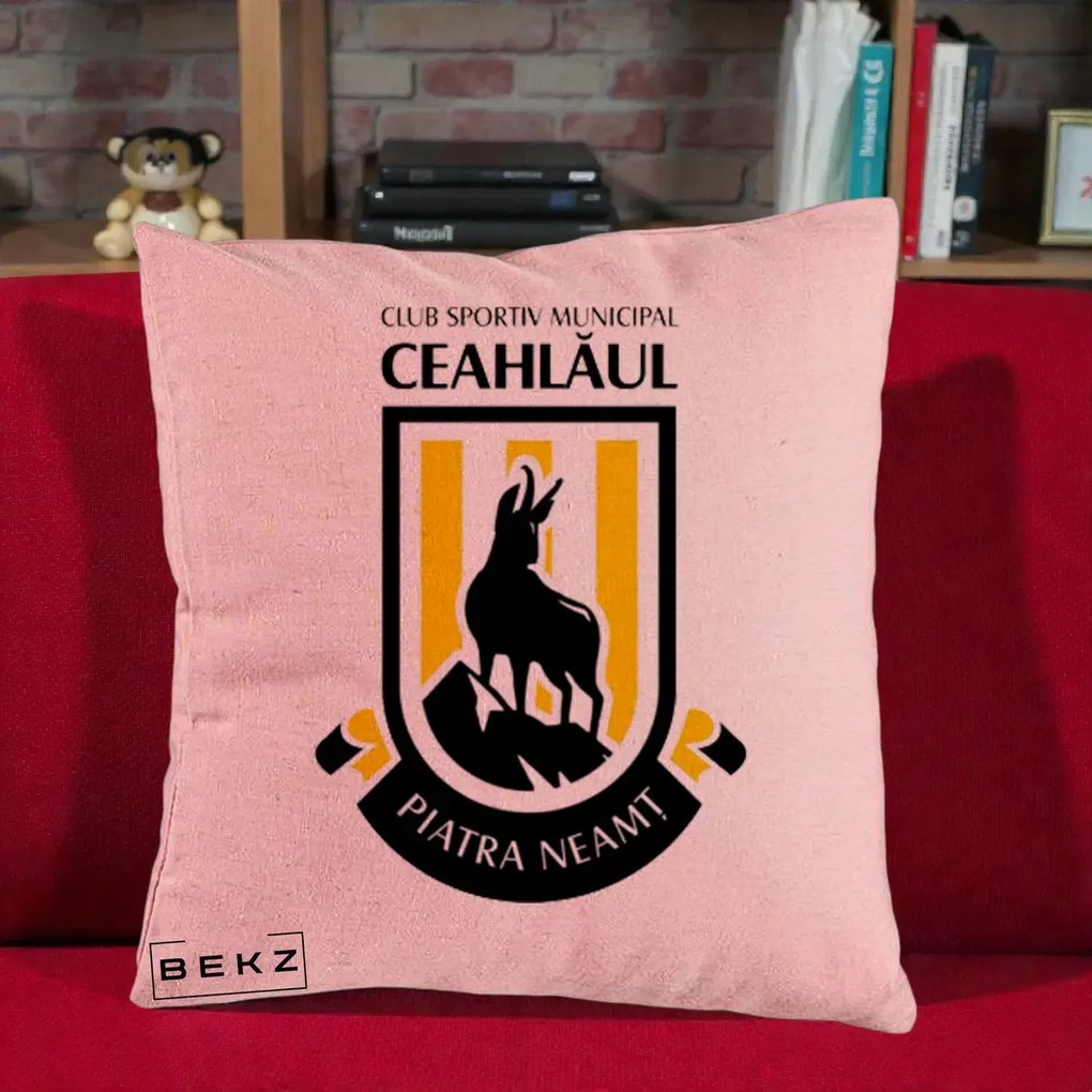 Perna Personalizata CSM Ceahlaul Piatra Neamt Fotbal, 40x40 cm, Roz, Husa Detasabila, Perna Inclusa, BEKZ®