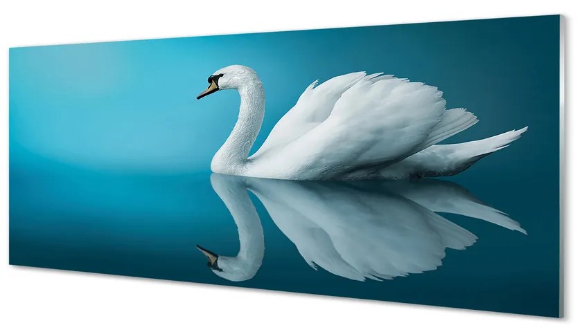 Tablouri pe sticlă Swan în apă