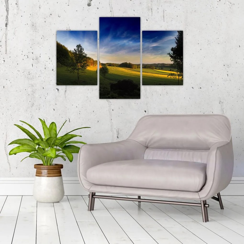 Tablou - Lunca de munte (90x60 cm)