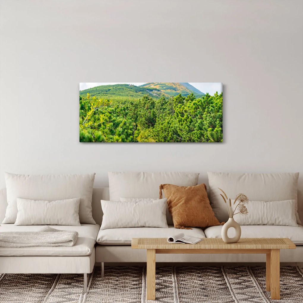 Tablou - Babi Hora, Polonia (120x50 cm)