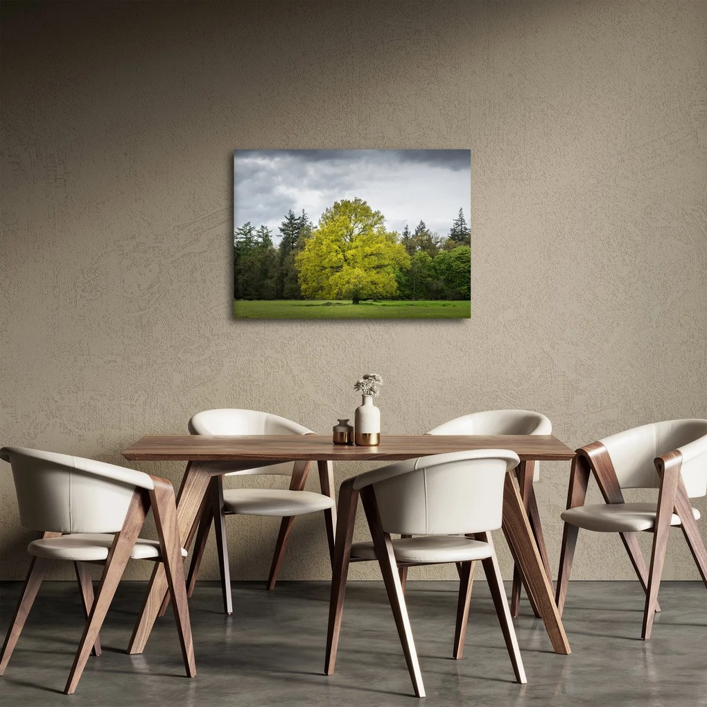 Tablou - Copac verde în câmp (70x50 cm)