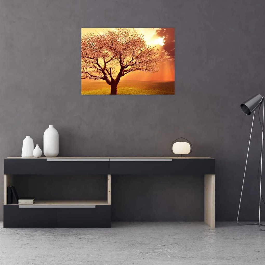 Tablou cu razele lui Dumnezeu (70x50 cm)