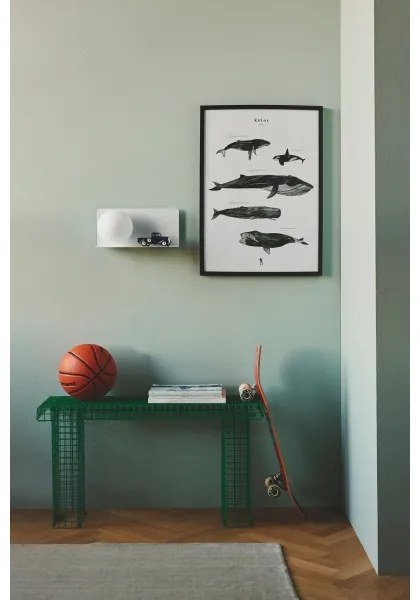 Aplică cu raft Nordlux LILIBETH 1xE14/25W/230V alb