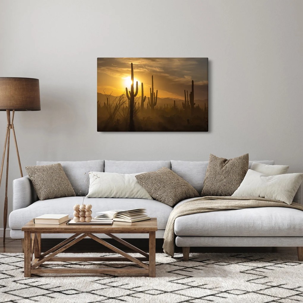 Tablou - Cactuși Saguaro (90x60 cm)
