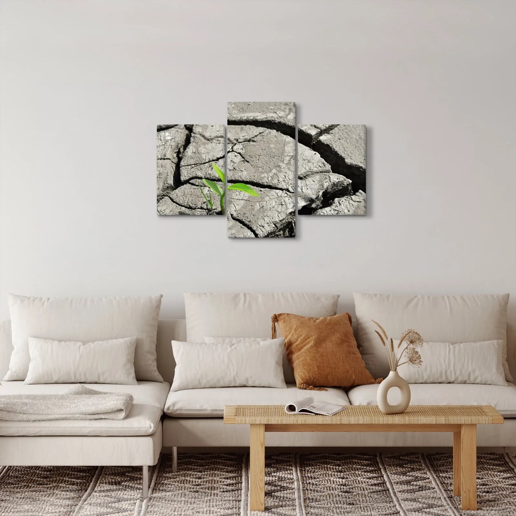 Tablou - Fisuri (90x60 cm)