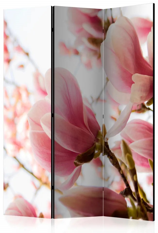 Paravan - Pink magnolia [Room Dividers]