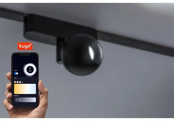 Spot LED dimabil pentru sistem de șină monofazic Rabalux 70130 LiTrack 5W/24V