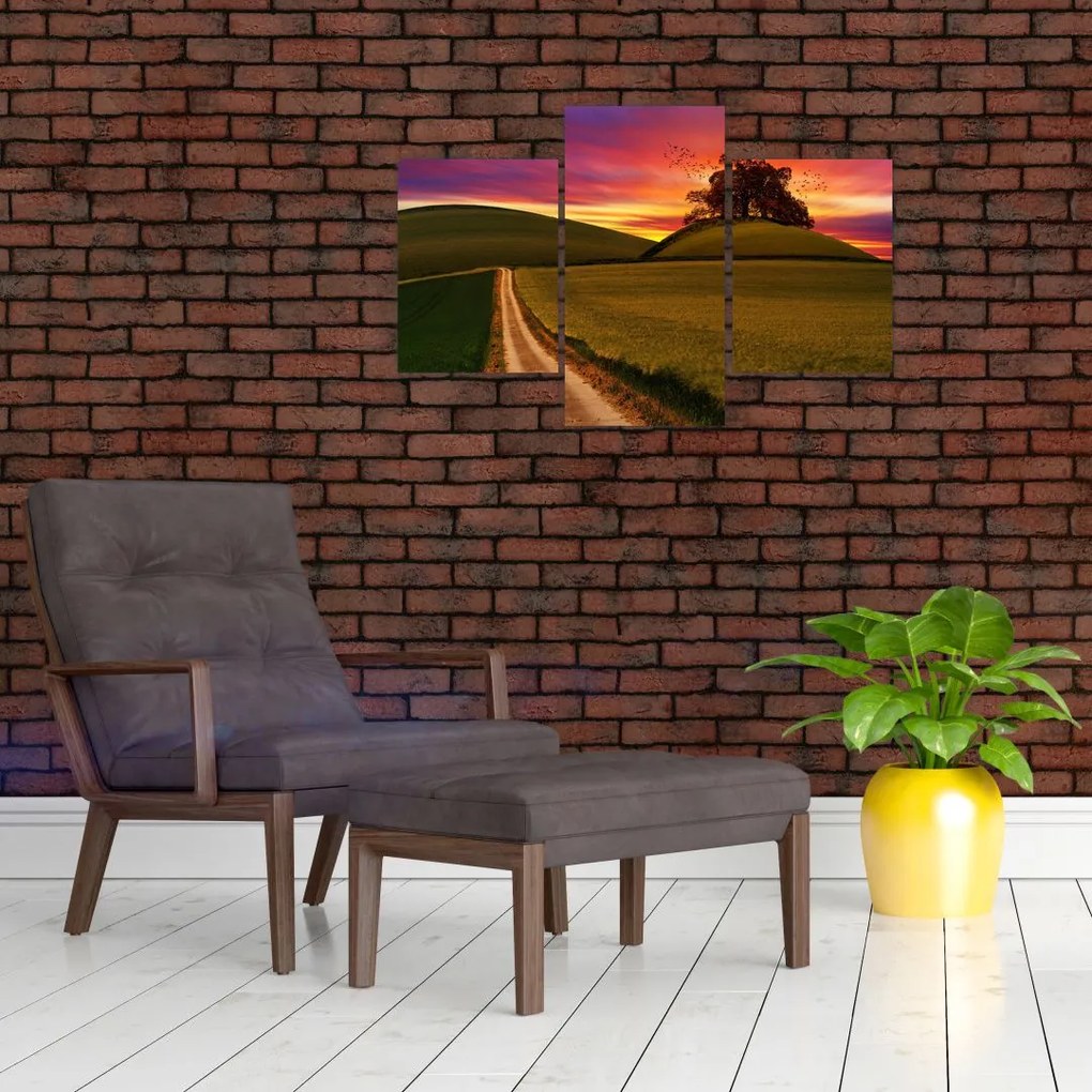 Tablou câmpului cu apus de soare (90x60 cm)