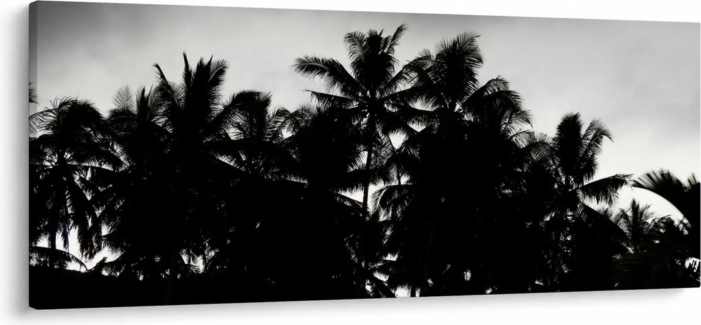 Tablou alb negru - palmieri (120x50 cm)