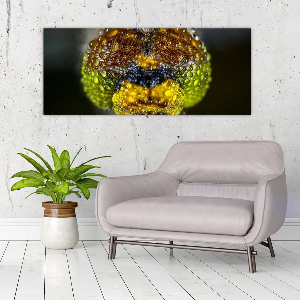 Tablou detailat cu ochii de omidă (120x50 cm)