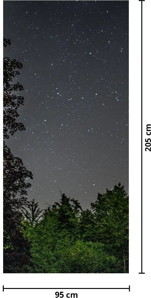 Fototapet pentru ușă - Cerul noaptea (95x205cm)
