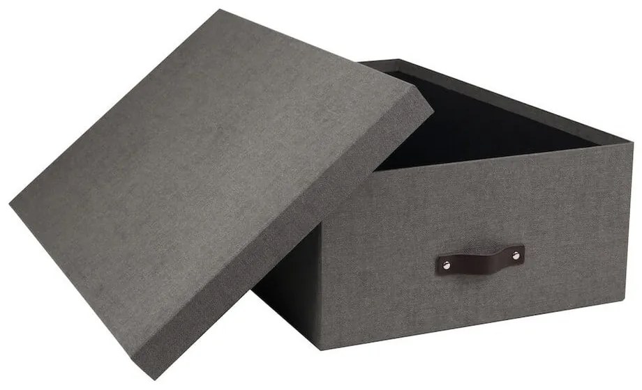 Cutii de depozitare 3 buc. cu capac Inge – Bigso Box of Sweden