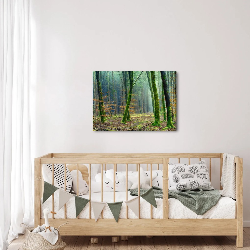 Tablou cu pădure (70x50 cm)