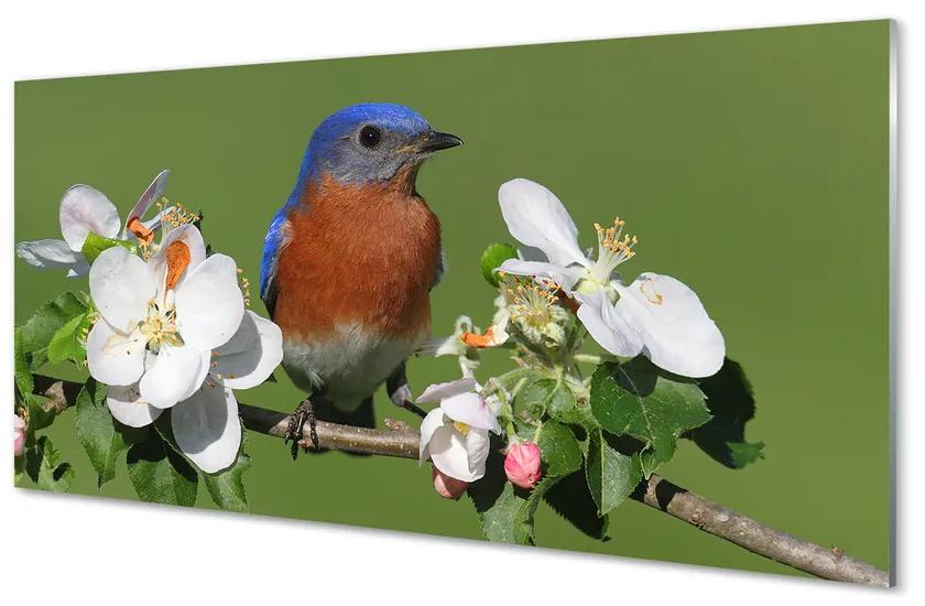 Tablouri pe sticlă Flori papagal colorat