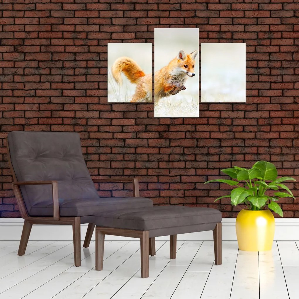 Tablou - Vulpe care sare (90x60 cm)