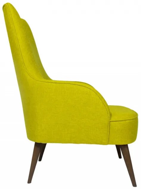 Fotoliu, Lemn Solid, Folly Island, Verde Fistic