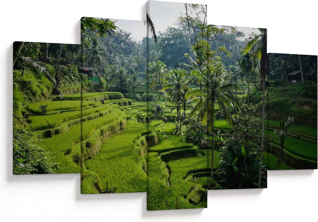 Tablou cu terasele cu orez Tegalalang, Bali (150x105 cm)