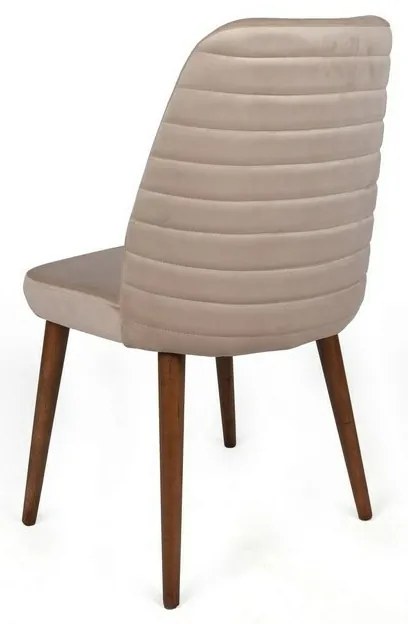 Set de scaune de sufragerie Tutku Cream andWalnut, 2 buc.