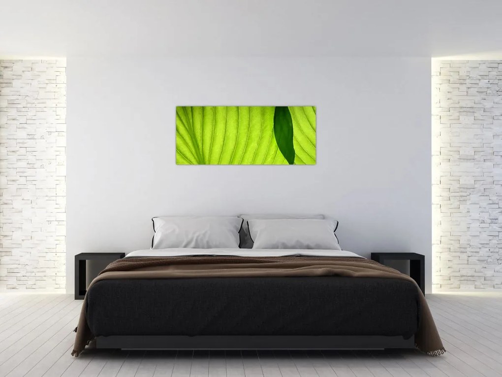 Tablou - Detaliu de frunză verde (120x50 cm)