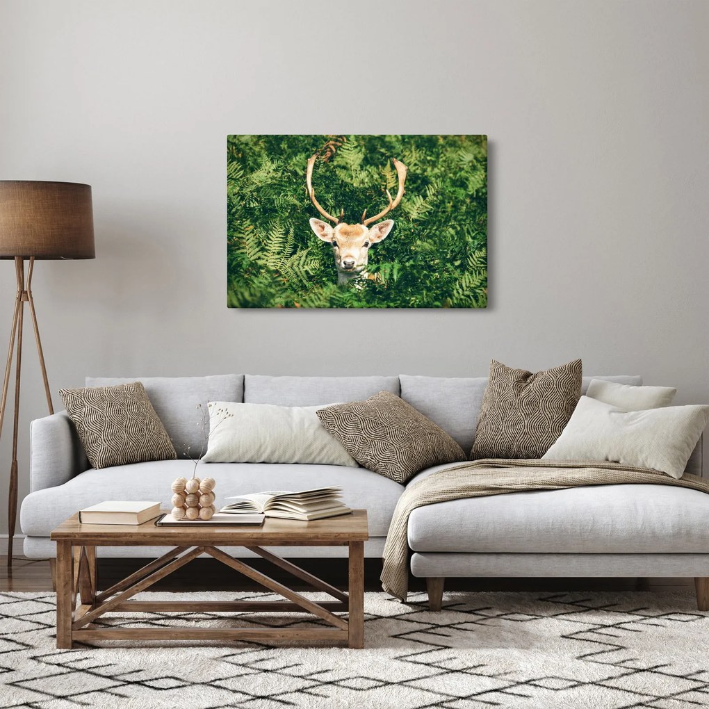 Tablou detaliu cu cap de căprioară (90x60 cm)