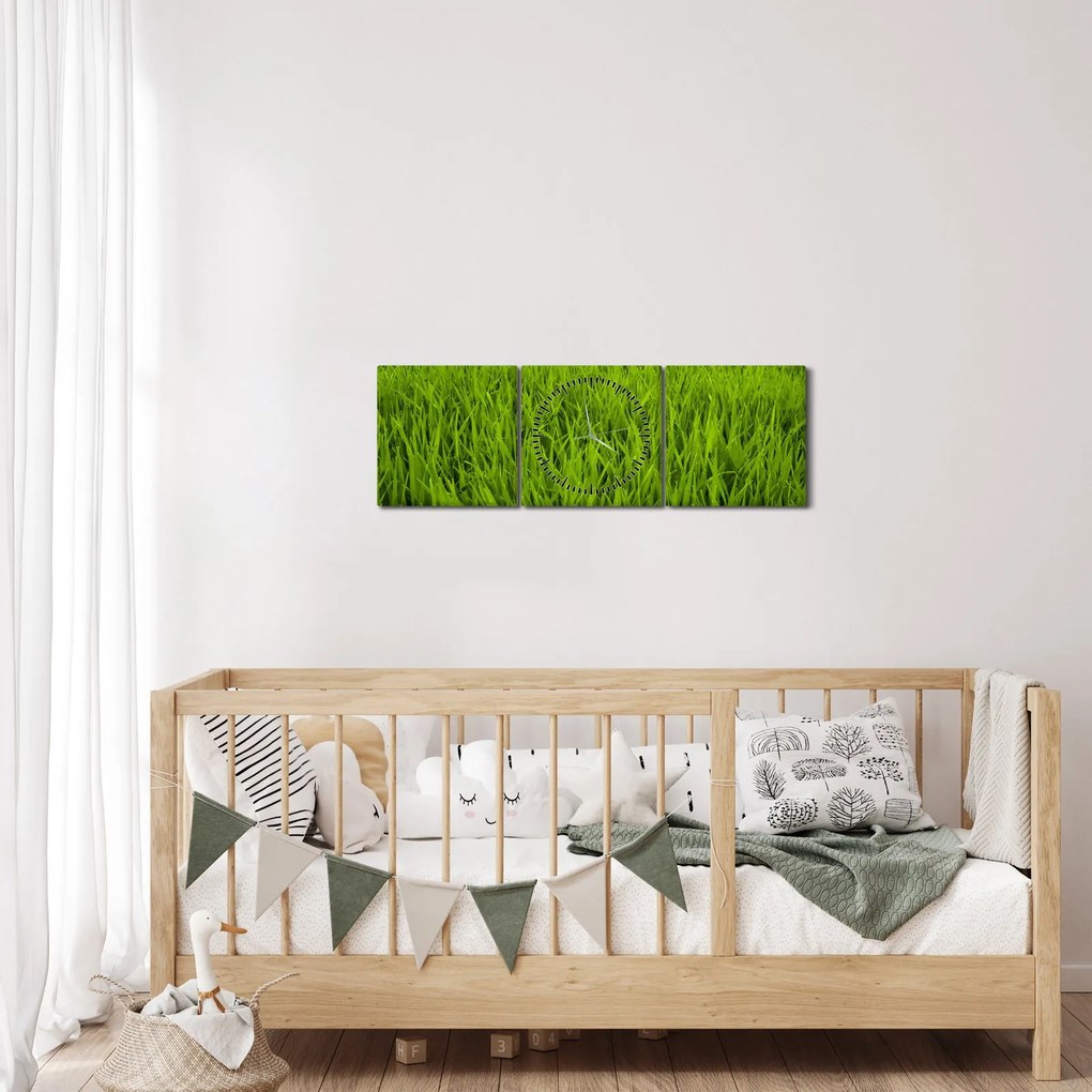 Tablou cu iaraba (cu ceas) (90x30 cm)