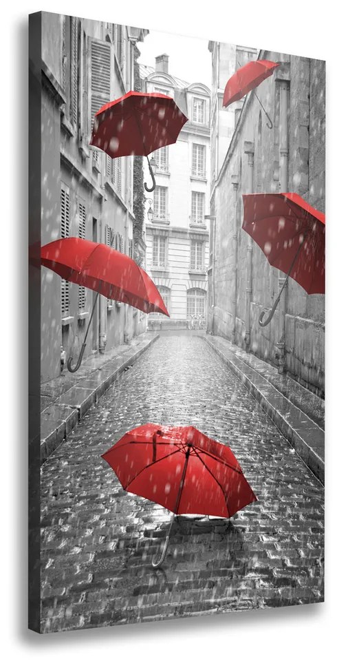 Print pe pânză Umbrelă Franța