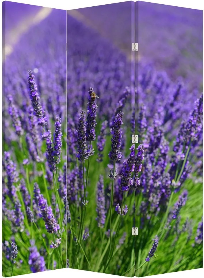 Paravan - Lavanda (126x170 cm)