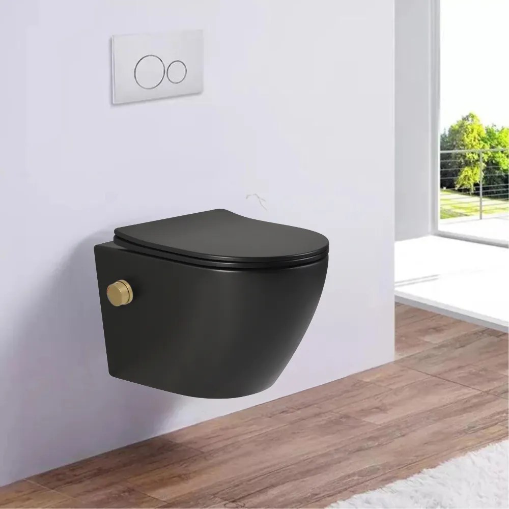Vas wc suspendat cu functie bideu, negru mat, apa calda rece, rimless, baterie inclusa auriu mat Foglia Oslo Baterie auriu mat
