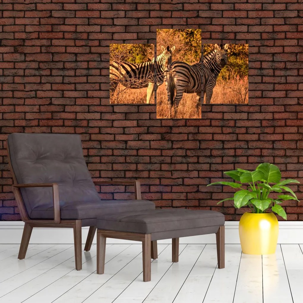 Tablou cu zebre (90x60 cm)