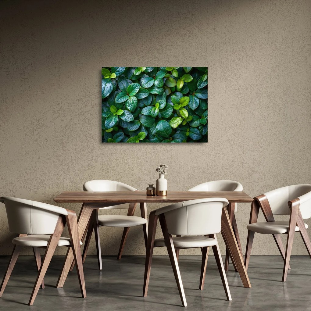 Tablou pe sticlă - Plante verzi (70x50 cm)