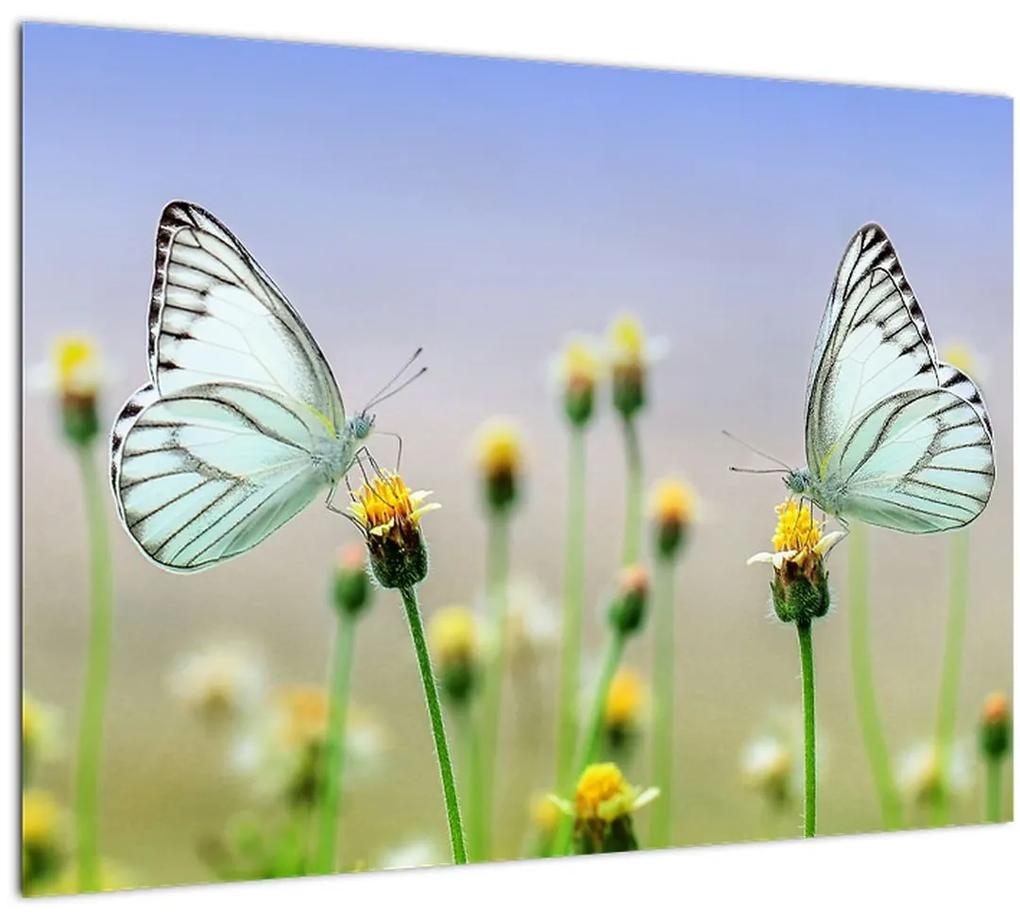 Tablou cu fluture pe floare (70x50 cm), în 40 de alte dimensiuni noi