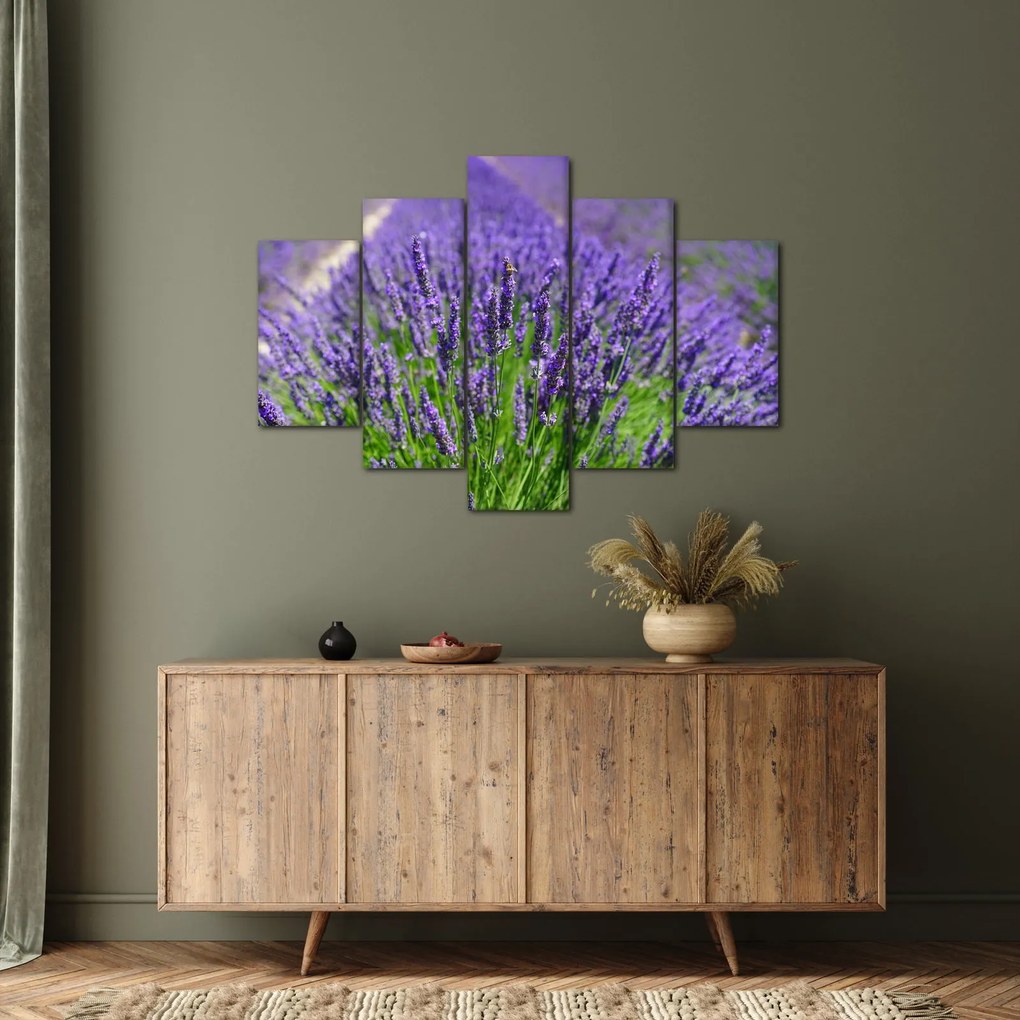 Tablou - lavanda (150x105 cm)