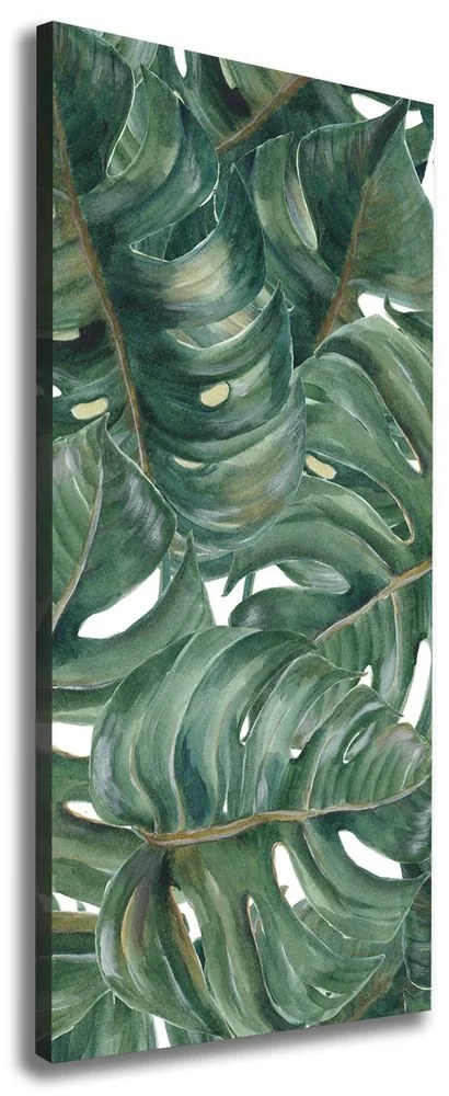 Pictură pe pânză Monstera