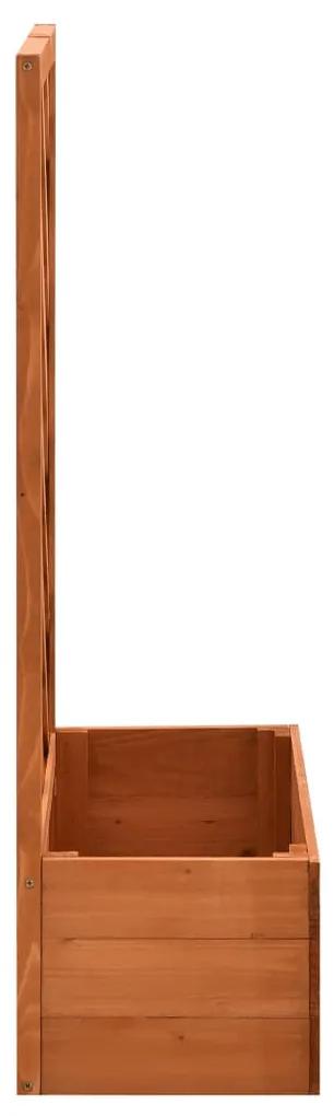 Jardiniera cu spalier, portocaliu, 50x25x90 cm, lemn masiv brad 1, Portocaliu, Portocaliu