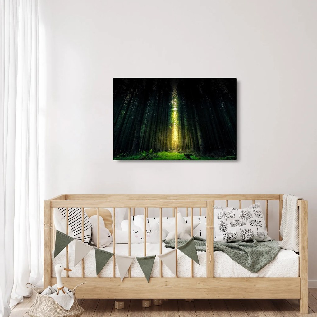 Tablou cu pădurea întunecată (90x60 cm)